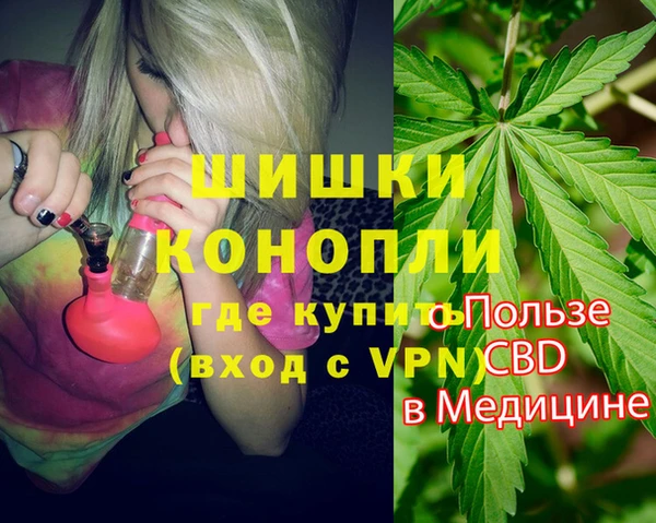 ПСИЛОЦИБИНОВЫЕ ГРИБЫ Вязьма